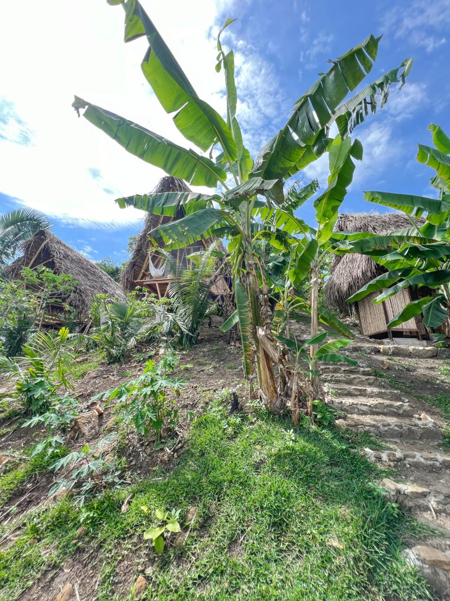 Hotel Tierra Alta, Refugio De Montana, Sauce Exterior foto
